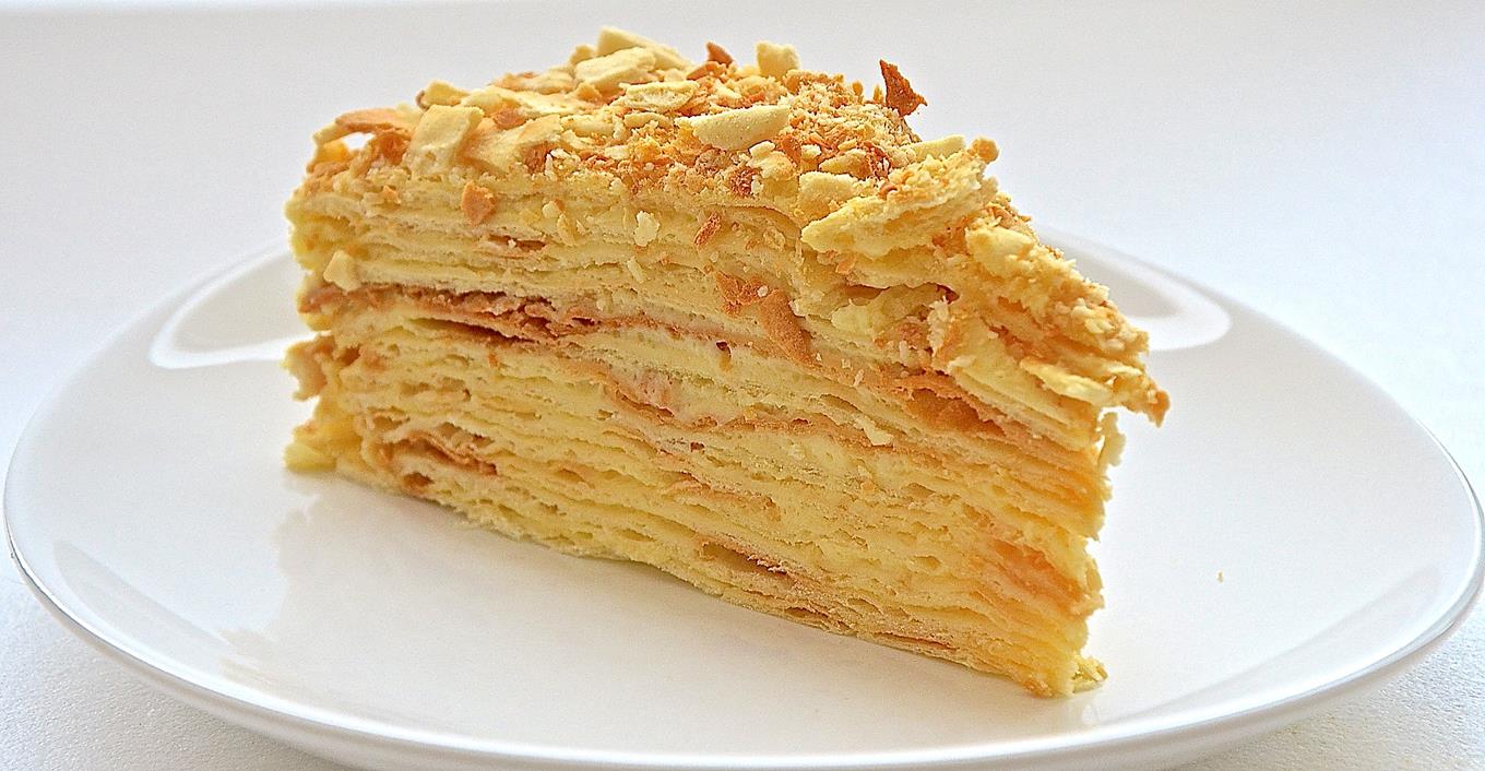 Napoleon tortu